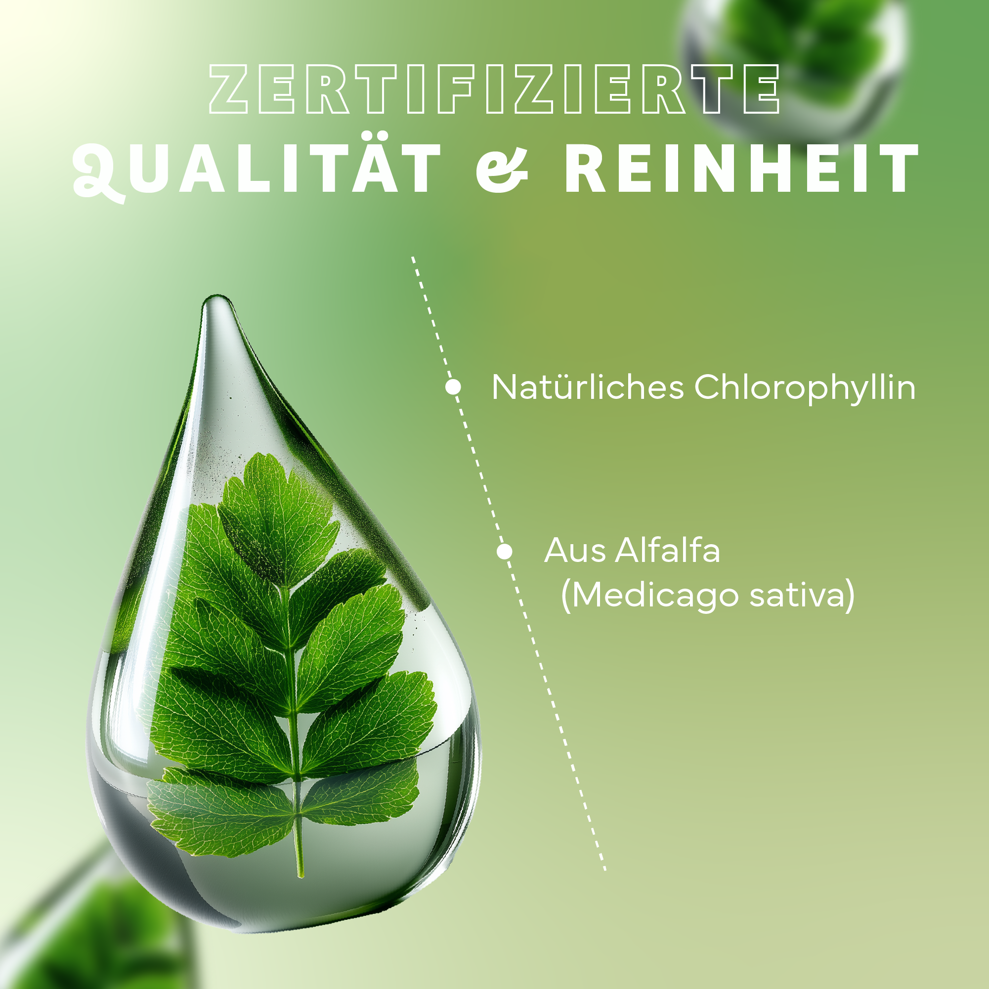 Grün, Blatt, Kräuterig, Kräuter, Werbung
