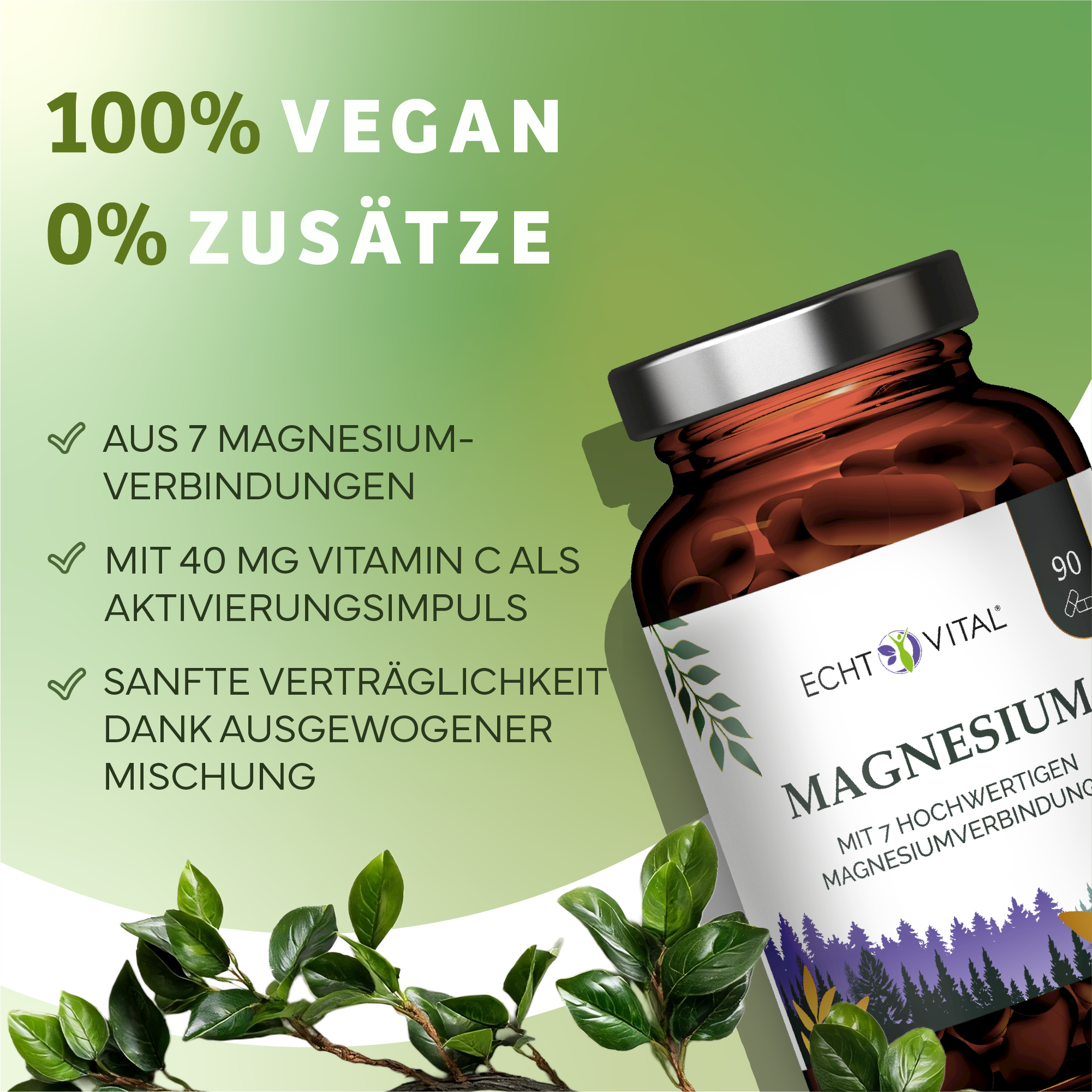 Kräuter, Pflanze, Werbung, Astragalus, Kräuter, Pflanze, Werbung, Astragalus