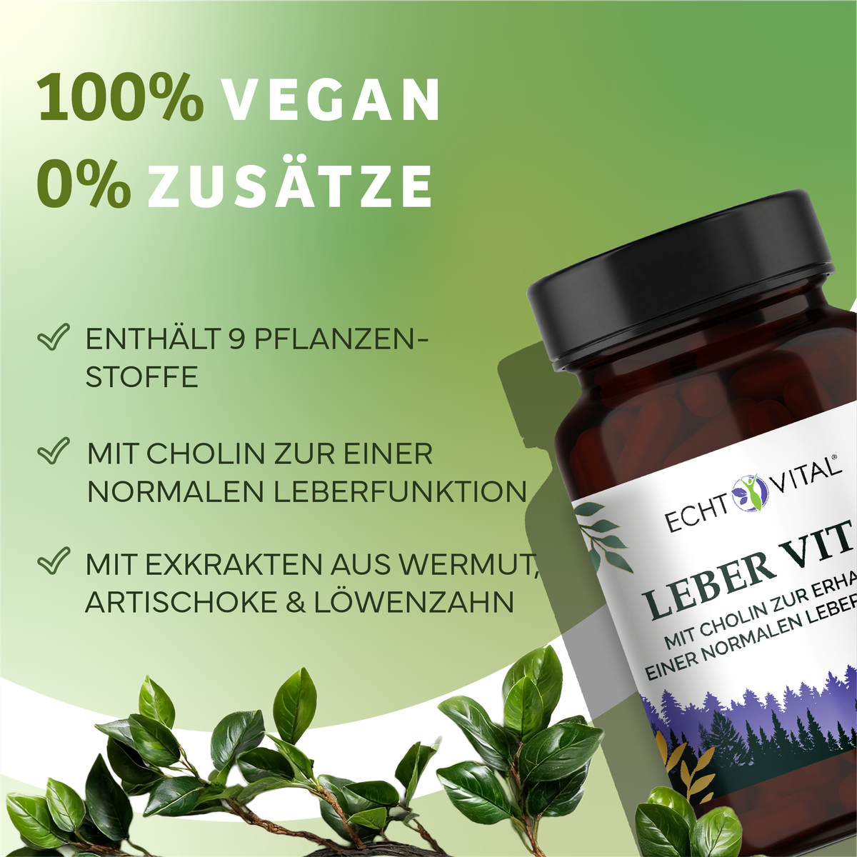 Kräuterig, Kräuter, Pflanze, Astragalus, Werbung, vegan, pflanzenstoffe, natürliche ernährung, kapsel, leberunterstützung