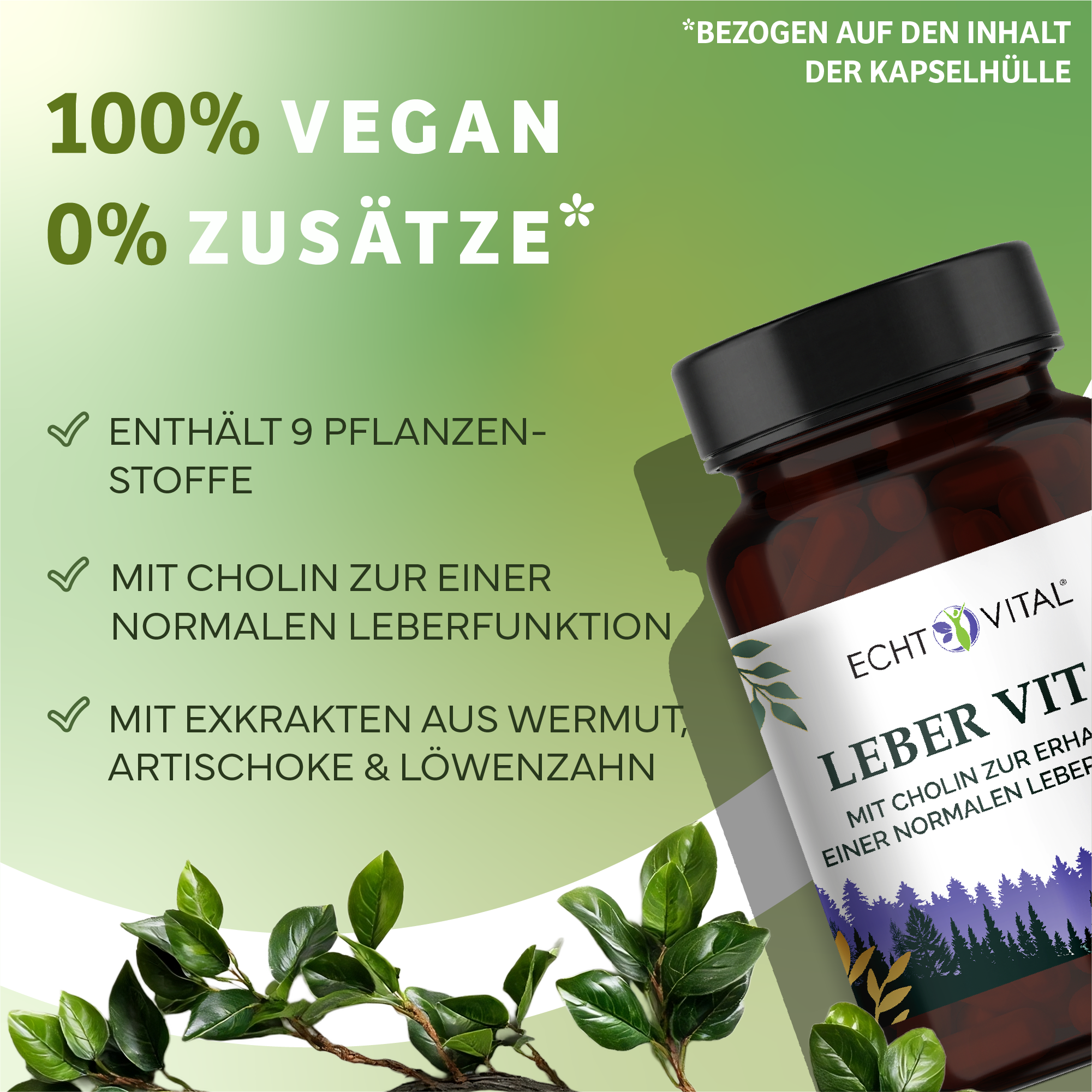Kräuterig, Kräuter, Pflanze, Astragalus, Werbung, vegan, pflanzenstoffe, natürliche ernährung, kapsel, leberunterstützung, kapselhülle, vegan, heilpflanze, mit cholin, lebergesundheit