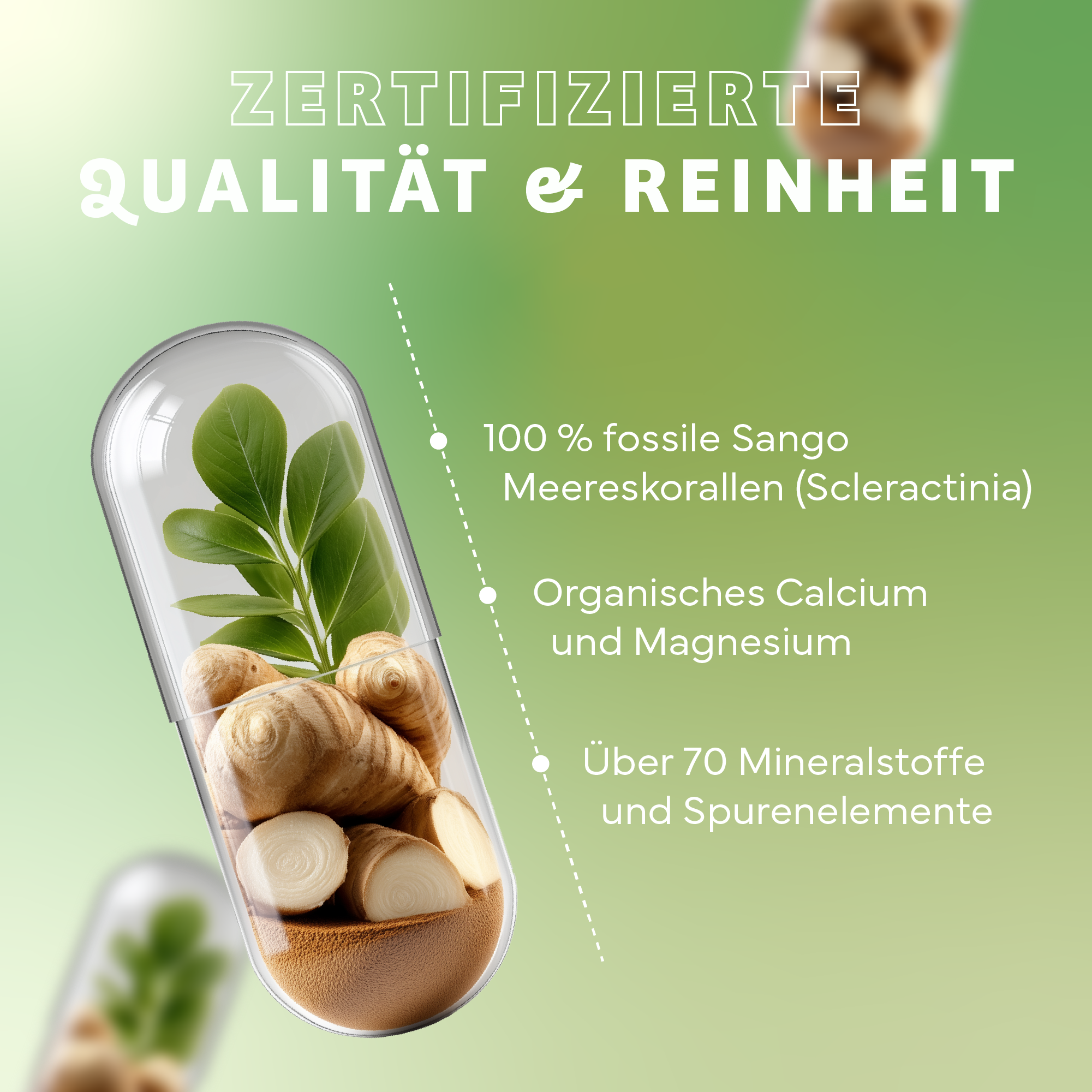 Kräuter, Pflanze, Werbung, Plakat