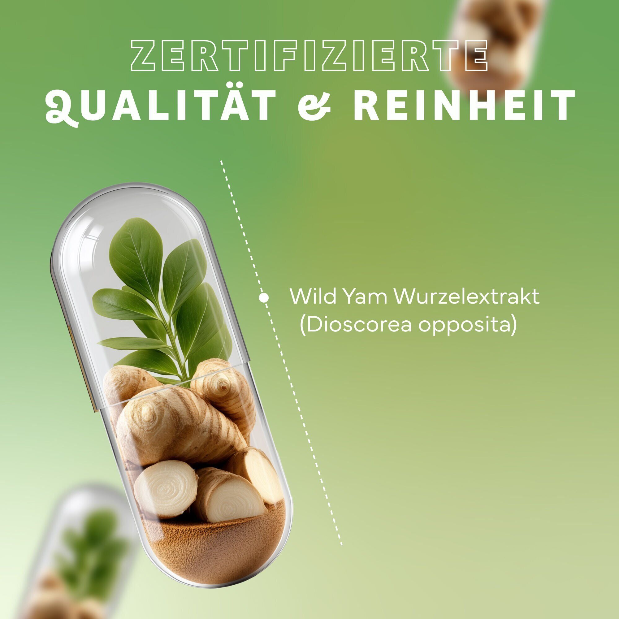 Kräuter, Pflanze, Werbung, Plakat, Kräuterig, Kräuter, Werbung, Plakat, Mittagessen, Kräuterig, Kräuter, Pflanze, Werbung, Plakat, wurzelextrakt, yam, pflanze, glaskapsel, gesundheit
