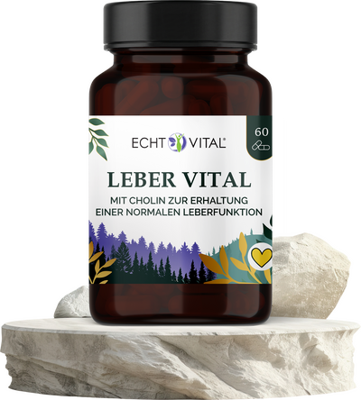 Leber Vital