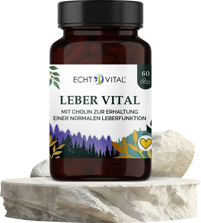 Leber Vital
