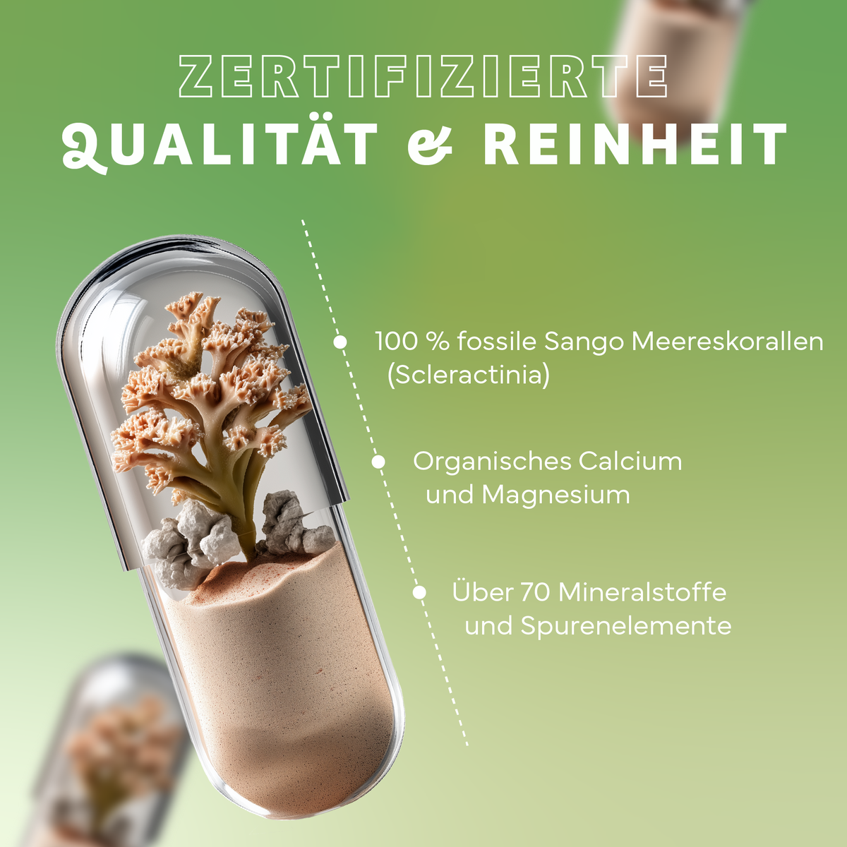 Werbung, Sahne, Nachtisch, Essen, Eiscreme, Sahne, Nachtisch, Essen, Eiscreme, Werbung, Sahne, Nachtisch, Essen, Eiscreme, Werbung, Schwamm, Kern?, Koralle, Substrat, Mineralien