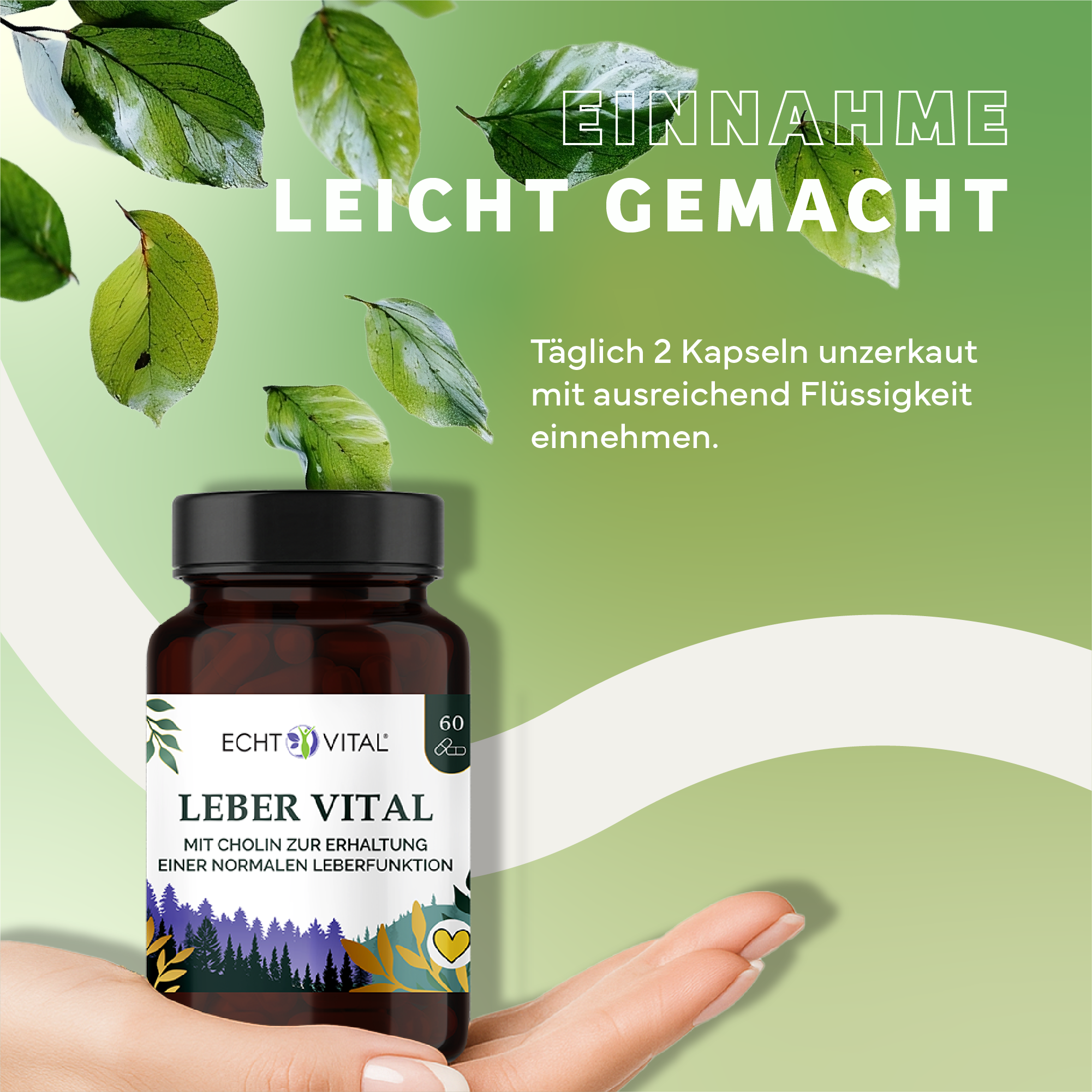 Kräuterig, Kräuter, Werbung, Blatt, Astragalus