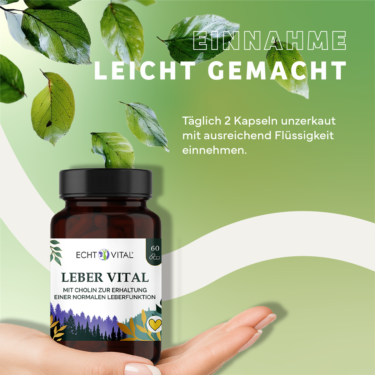 Kräuterig, Kräuter, Werbung, Blatt, Astragalus, Leber Vital, Kapseln, Nahrungsergänzung, Leberfunktion, Cholin