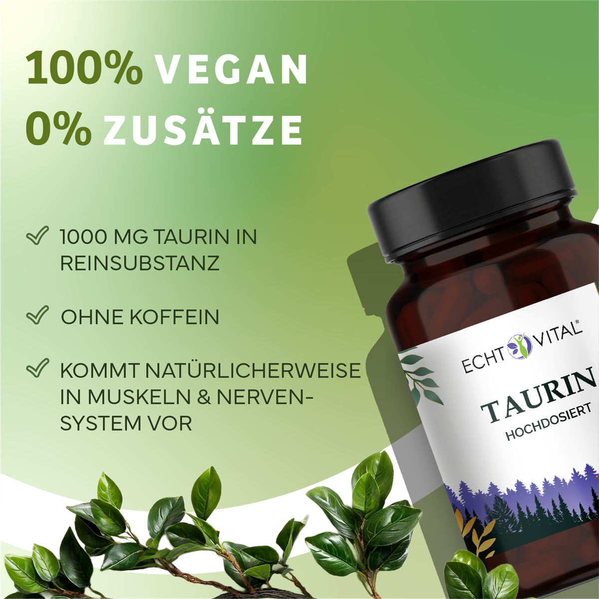 Kräuterig, Kräuter, Pflanze, Werbung, Astragalus, taurin, 錠剤, Kapsel, Nahrungsergänzung, vegan