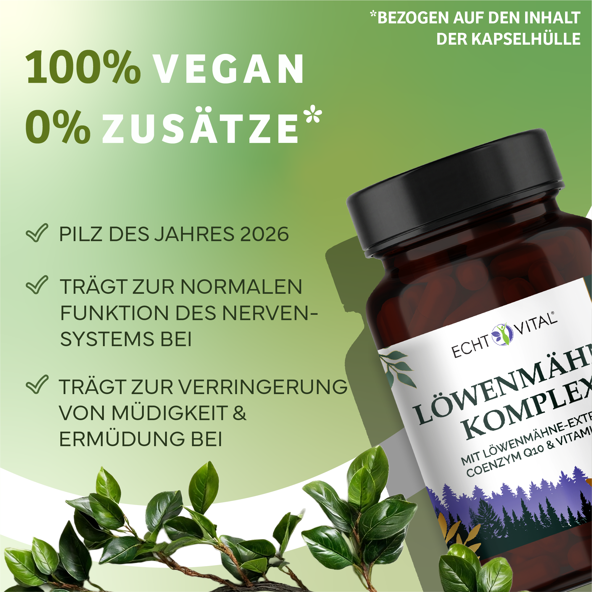 Kräuterig, Kräuter, Werbung, Astragalus, Sirup, vegan, Supplement, Flasche, Etikett, Kräuter, kapsel, flasche, kapselhülle, pflanzenextrakt, vitamine
