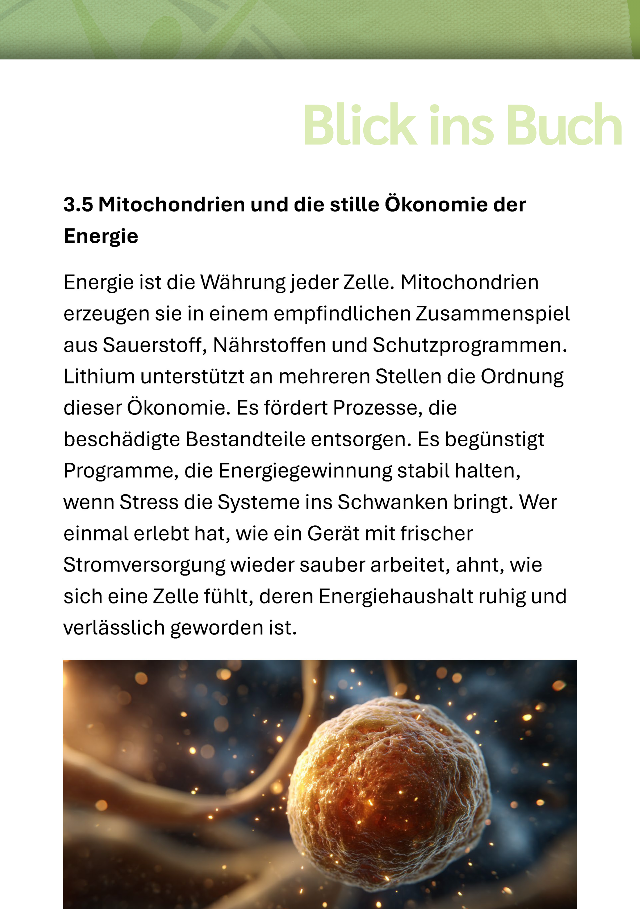 Werbung, Plakat, Sphäre, Brot, Seite