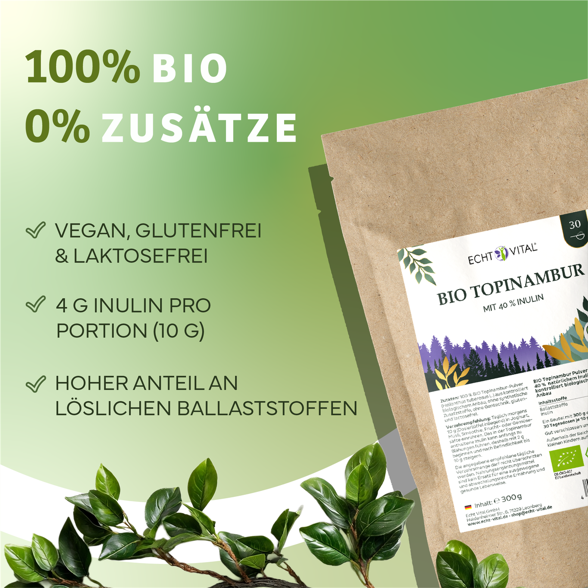 Werbung, Plakat, Kräuter, Pflanze, Bio Topinambur, Inulin Pulver, Bio, Topinambur Pulver, vegan glutenfrei lactosefrei