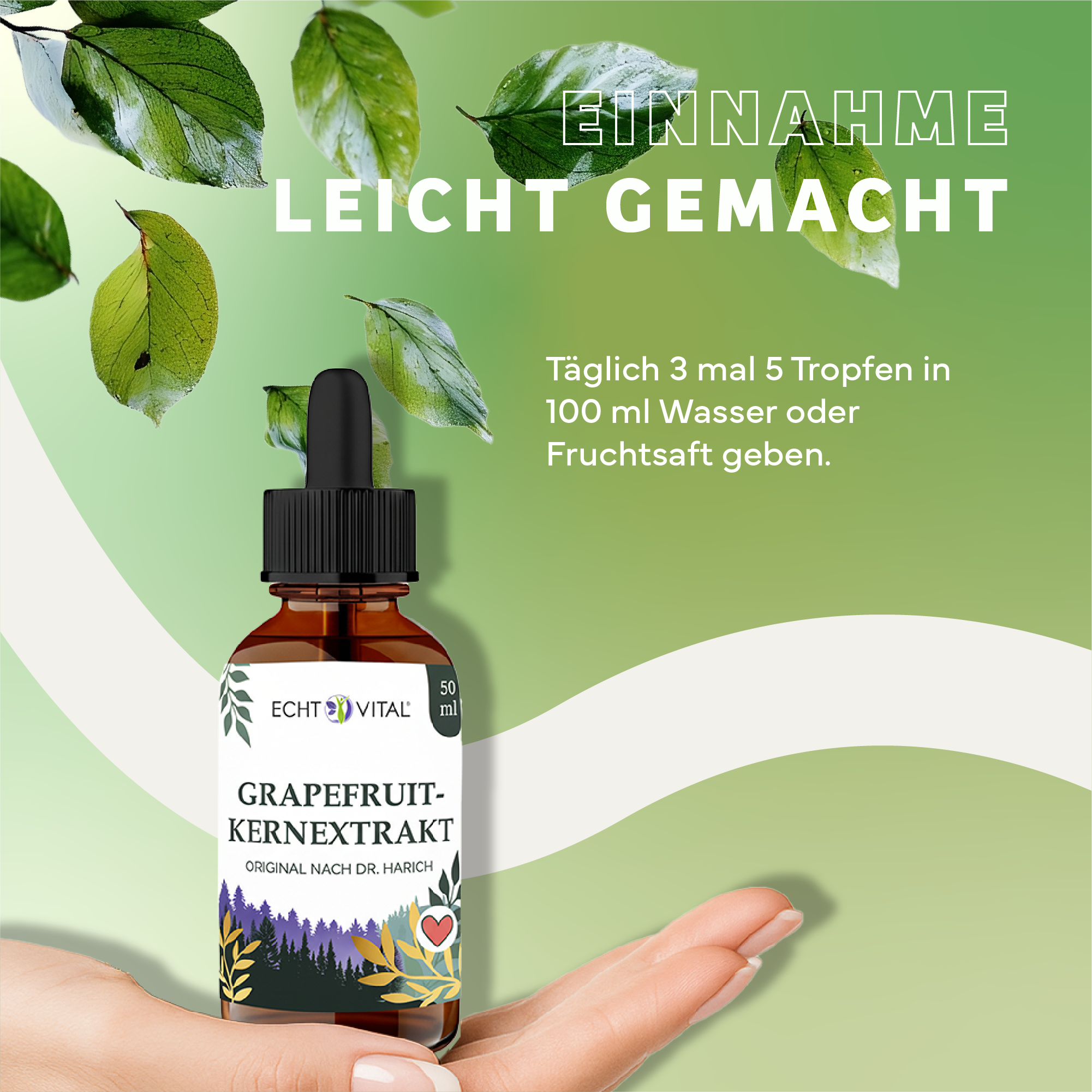 Kräuterig, Kräuter, Werbung, Plakat, Blatt