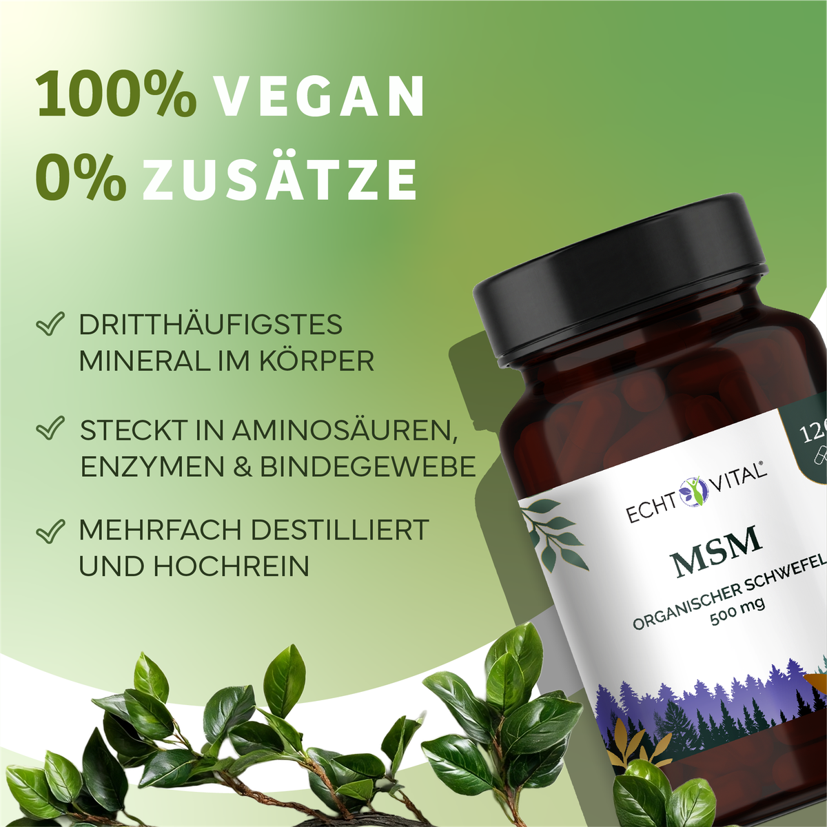 Kräuterig, Kräuter, Pflanze, Werbung, Astragalus, Mineral, Glasfrei, Glänzend, Vitamin, Produktbild