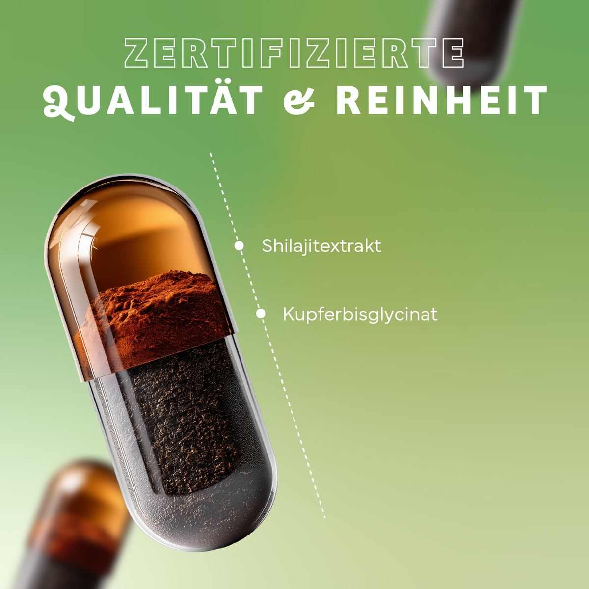 Werbung, Kräuterig, Kräuter, Pflanze, Rauchrohr, Werbung, Kräuterig, Kräuter, Pflanze, Rauchrohr, Kapsel, Pille, Shilajit, Kupferglyzinat, Extrakt