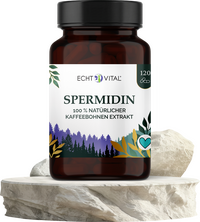 Spermidin