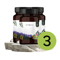 Kräuter, Krug, Ketchup, Blume, Kräuter, Pflanze, Glas