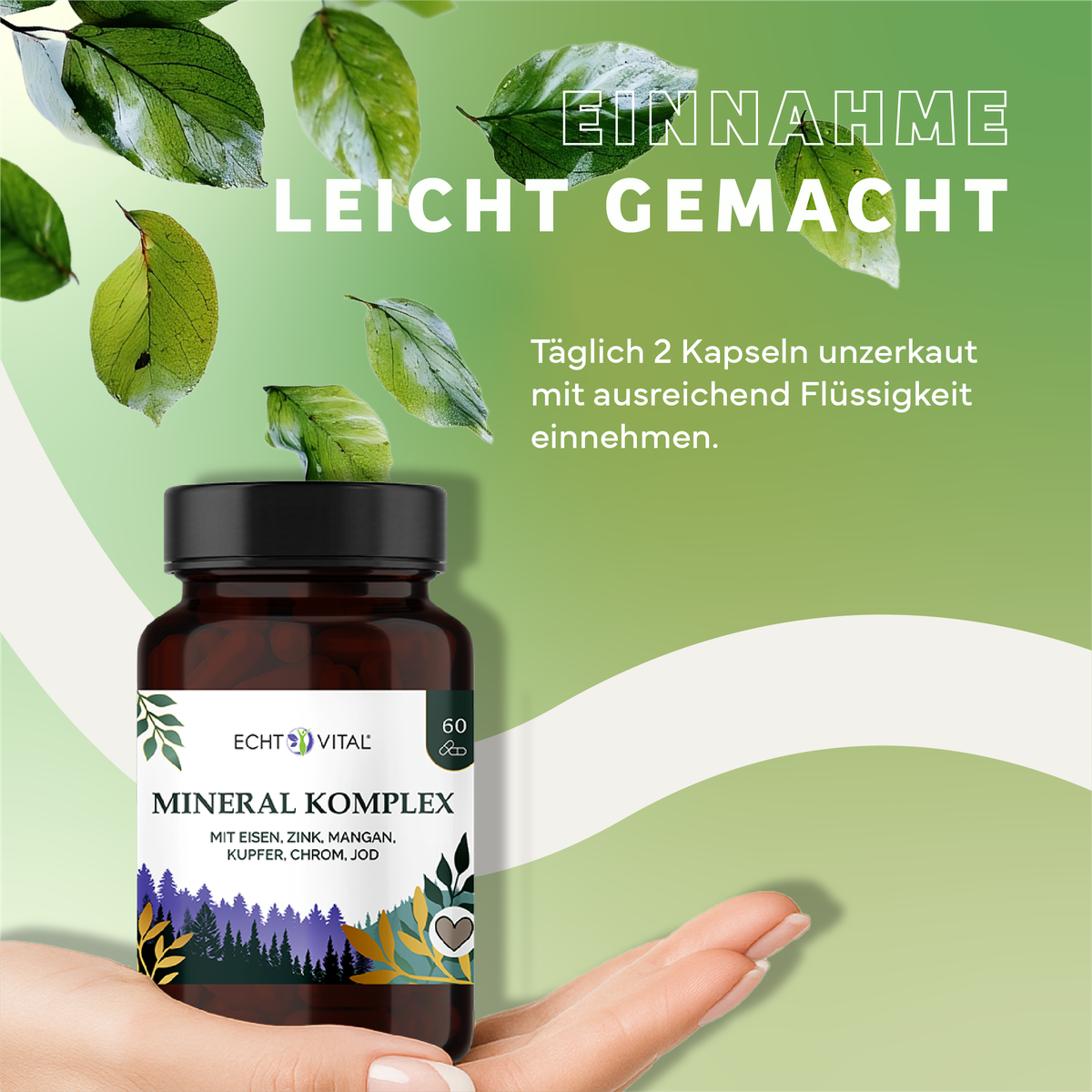 Kräuterig, Kräuter, Werbung, Blatt, Astragalus, Mineralisches Nahrungsergänzungsmittel, Mineral-Komplex, Kapseln, Eisen Zink Mangan, Kupfer Chrom Jod