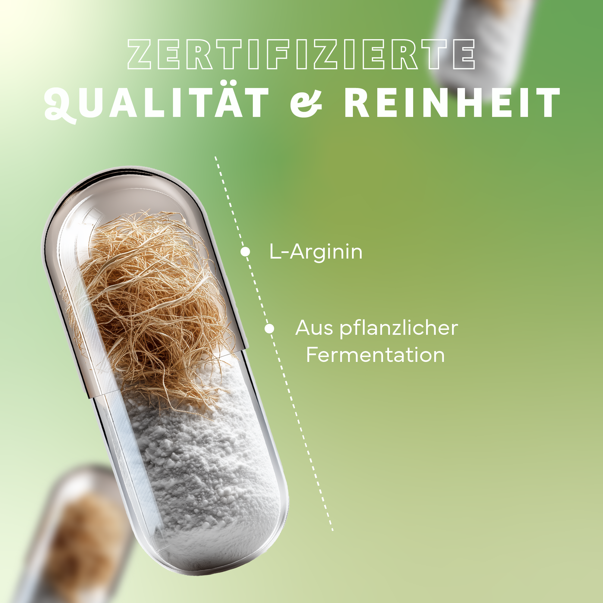 Nudel, Pasta, Fadennudeln, Kräuter, Werbung, Nudel, Pasta, Fadennudeln, Kräuter, Werbung