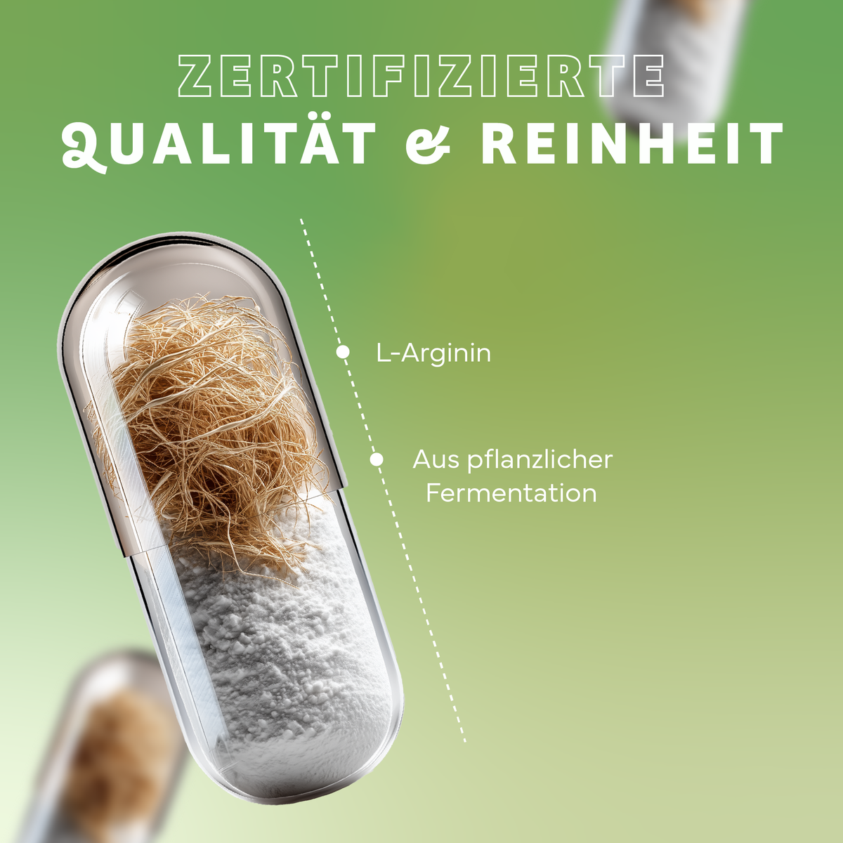 Nudel, Pasta, Fadennudeln, Kräuter, Werbung, Nudel, Pasta, Fadennudeln, Kräuter, Werbung, Nudel, Pasta, Fadennudeln, Kräuter, Werbung, Pille, Kapsel, L-Arginin, Fermentation, Inhalt pflanzlich