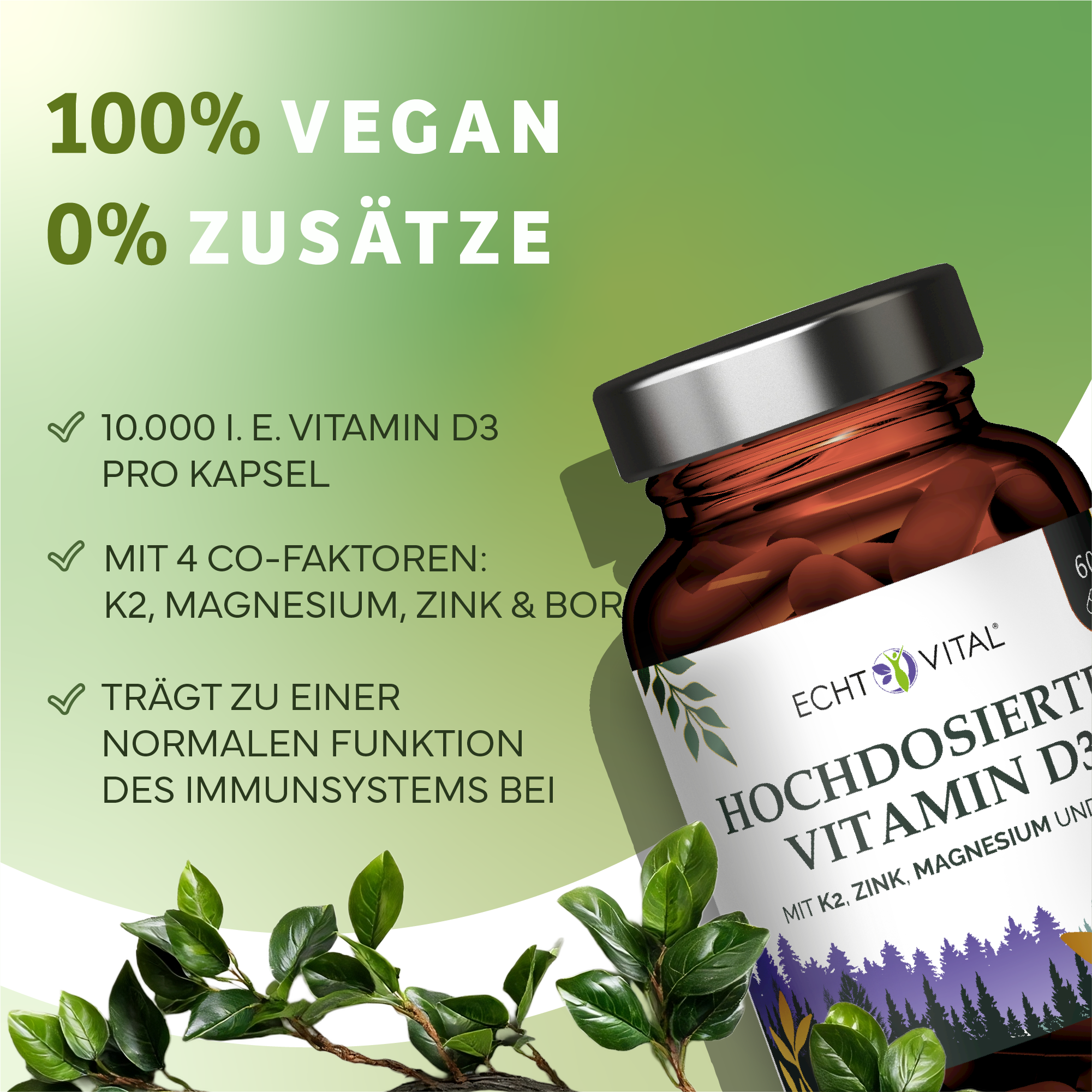 Kräuter, Pflanze, Werbung, Astragalus
