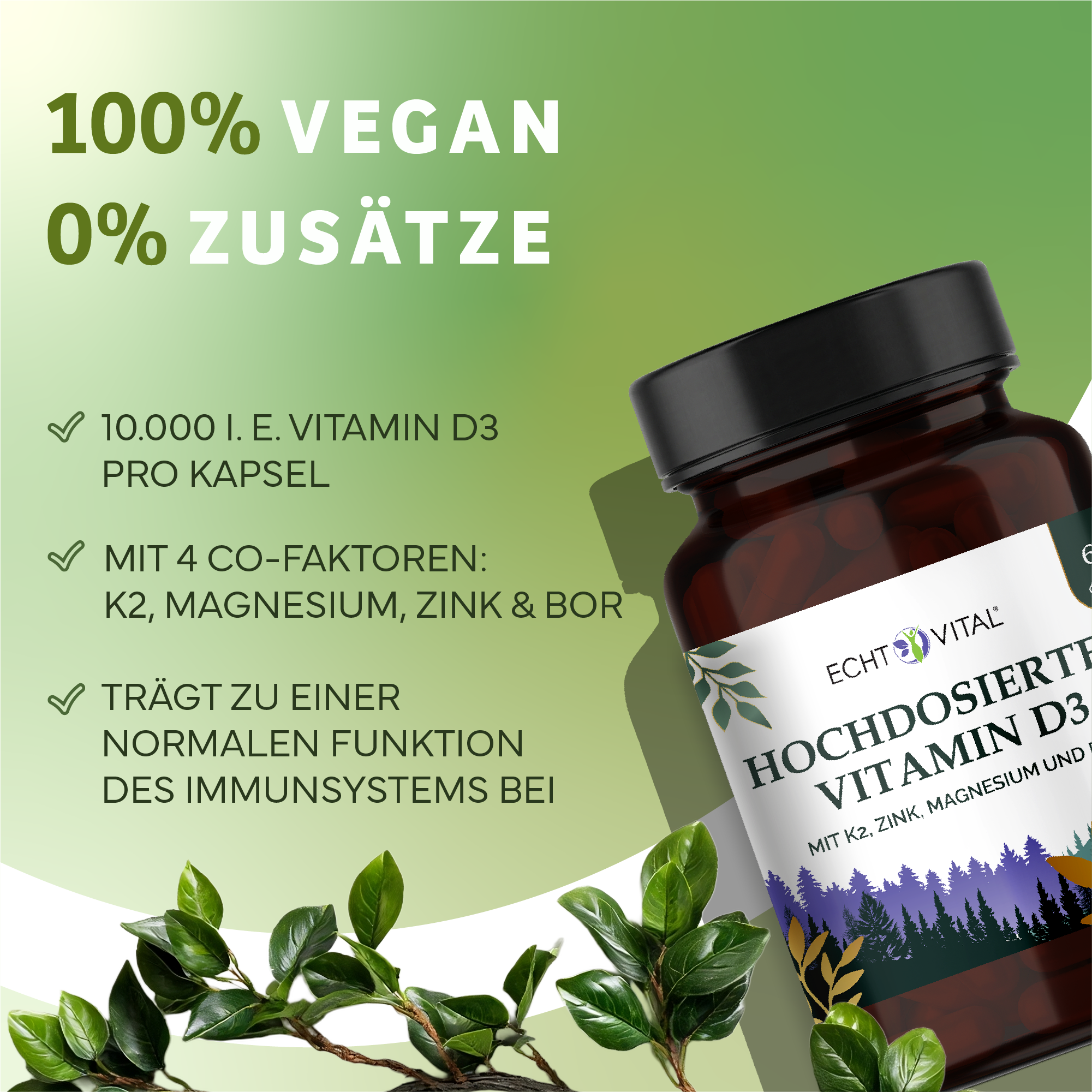 Kräuter, Pflanze, Werbung, Astragalus, Kräuterig, Kräuter, Pflanze, Werbung, Astragalus