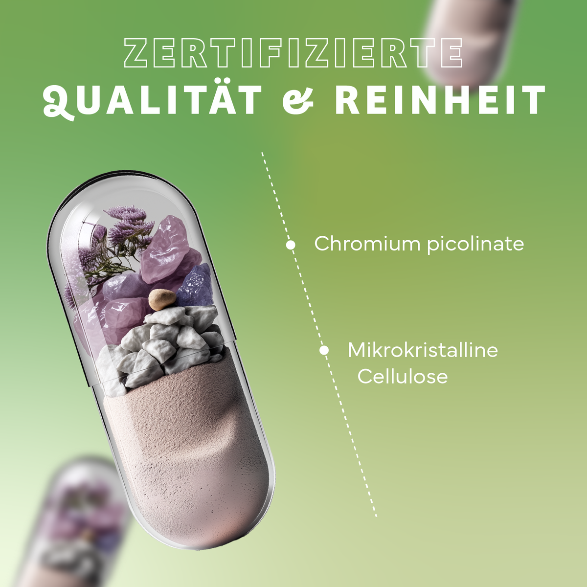 Werbung, Plakat, Werbung, Plakat, Kräuter, Pflanze, Kapsel, Pillen, bunt, Steine, Gele, Mikrokristalline Cellulose