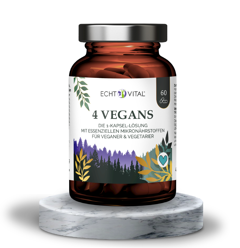 Kräuterig, Kräuter, Pflanze, Astragalus, Blume, Kräuterig, Kräuter, Astragalus, Blume, Ketchup