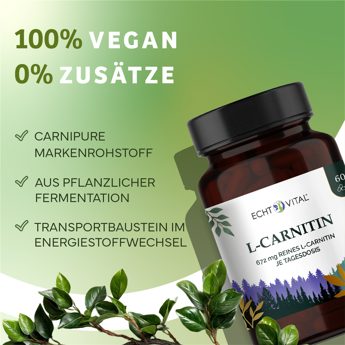 Kräuterig, Kräuter, Pflanze, Astragalus, Werbung, L-Carnitin, Kapseln, Nahrungsergänzung, Pflanzenbasiert, Fermentation