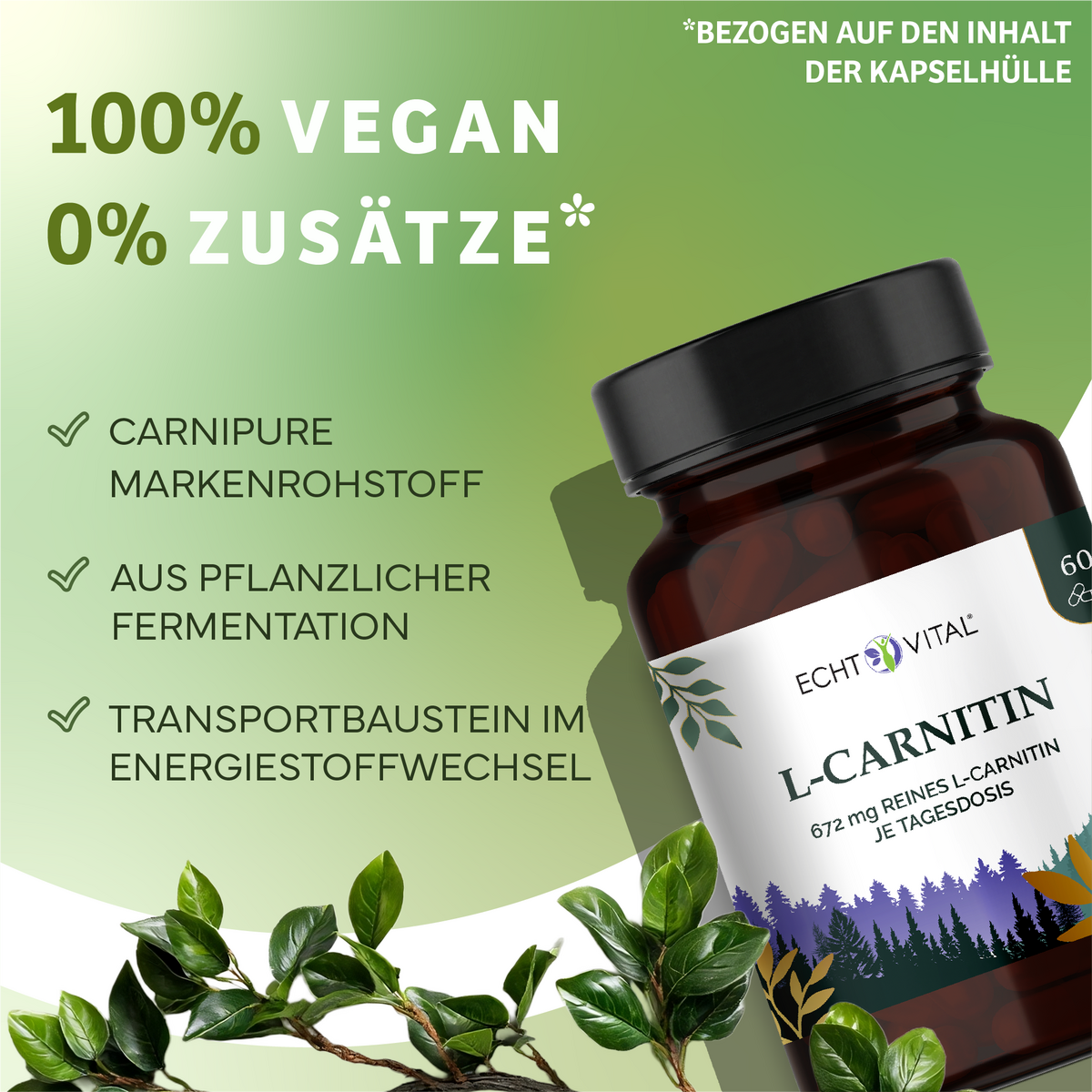 l carnitin vorteile L-Carnitin aus pflanzlicher Fermentation | Carnipure® | 672 mg reines L- | 60 Kapseln L-Carnetine 2000 400ml Morango sticky_variant Size:Value Pack (120 Capsules)