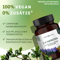 L-Carnitin aus pflanzlicher Fermentation | Carnipure® | 672 mg reines L- Carnitin | 60 Kapseln