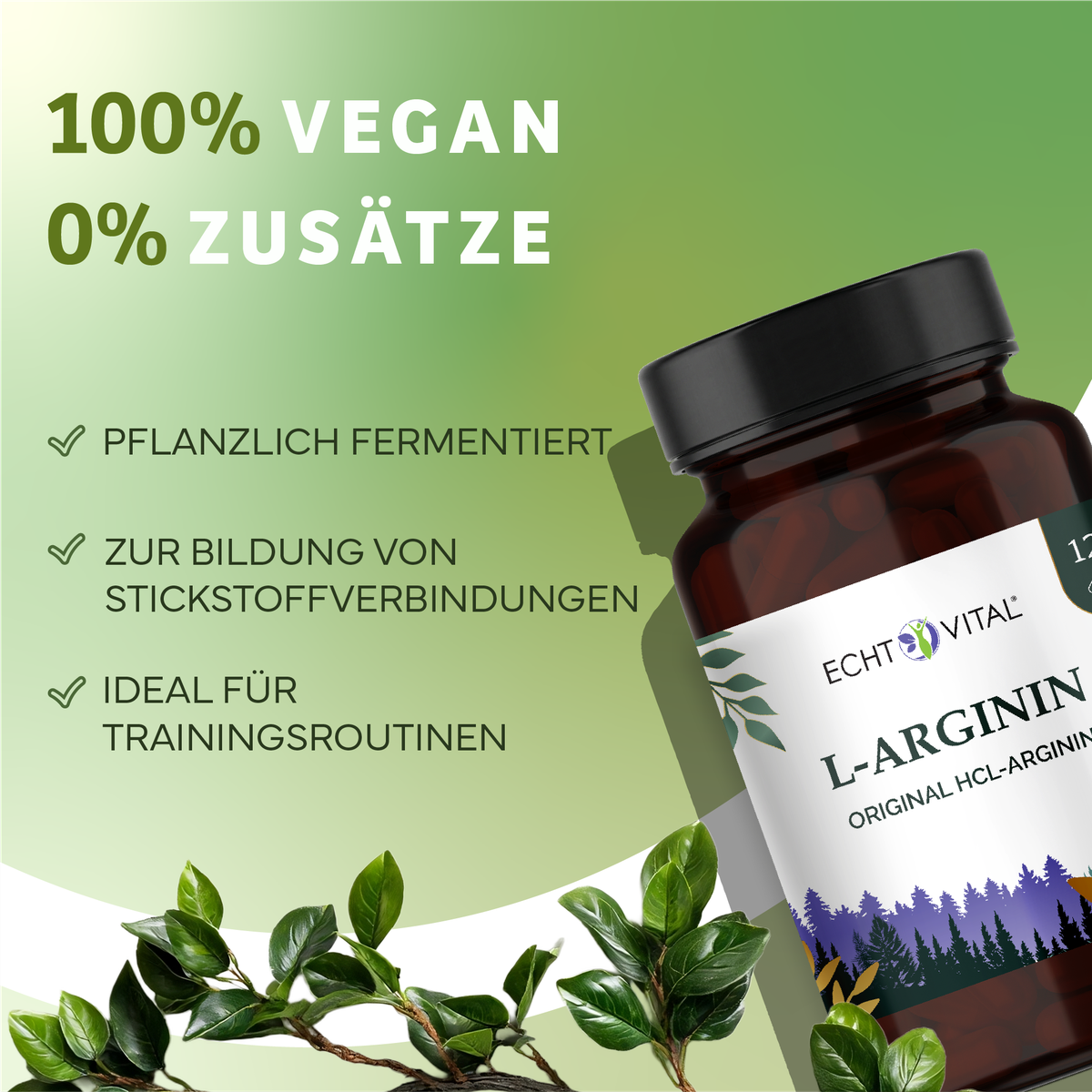 Kräuter, Astragalus, Blume, Werbung, Kräuterig, Kräuter, Pflanze, Astragalus, Werbung, arginin, L-Arginin, Nahrungsergänzung, Kapseln, Flasche