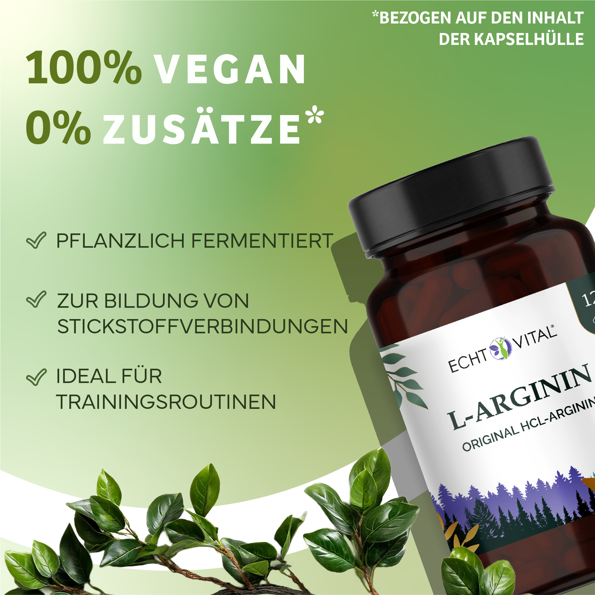 Kräuter, Astragalus, Blume, Werbung, Kräuterig, Kräuter, Pflanze, Astragalus, Werbung, arginin, L-Arginin, Nahrungsergänzung, Kapseln, Flasche, L-Arginin, Kapselhülle, Pflanzenextrakt, Vitaminpräparat, Ernährungsergänzung