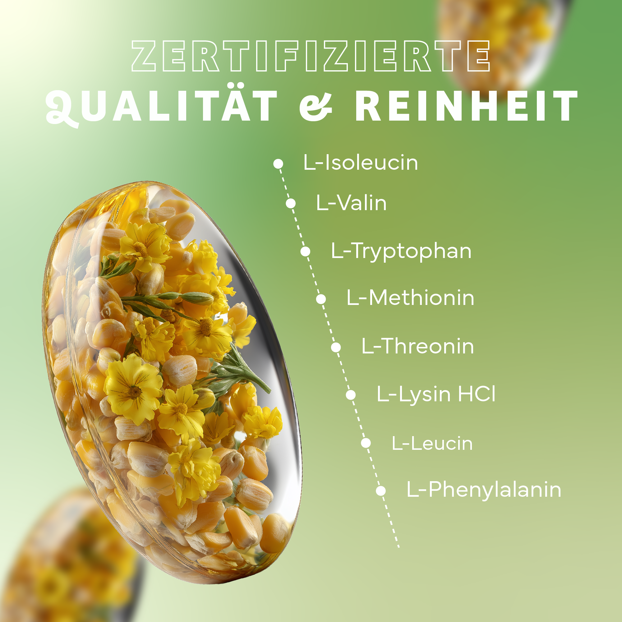 Werbung, Plakat, Teller, Werbung, Plakat, Teller, Werbung, Plakat, Teller