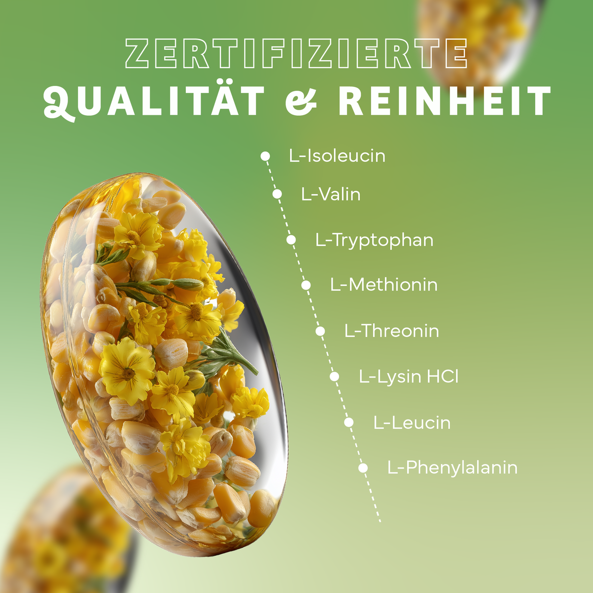 Werbung, Plakat, Teller, Werbung, Plakat, Teller, Werbung, Plakat, Teller, Werbung, Plakat, Teller, Kapsel, gelbe Blüten, Schale, Pulver, Hülle
