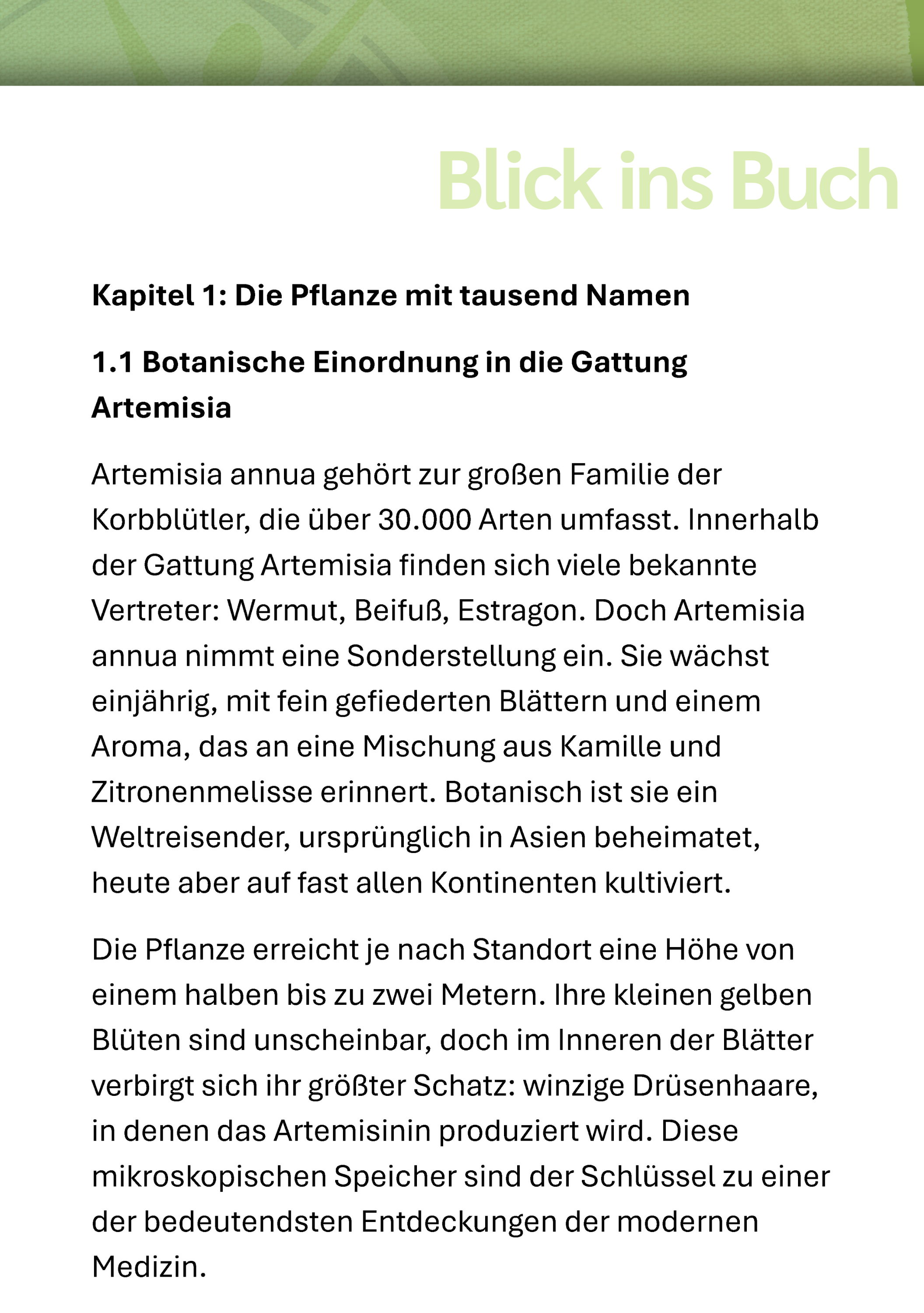 Seite, Text, Werbung, Plakat, Buchseite, Kapitel, Botanische Einordnung, Artemisia, Textseite
