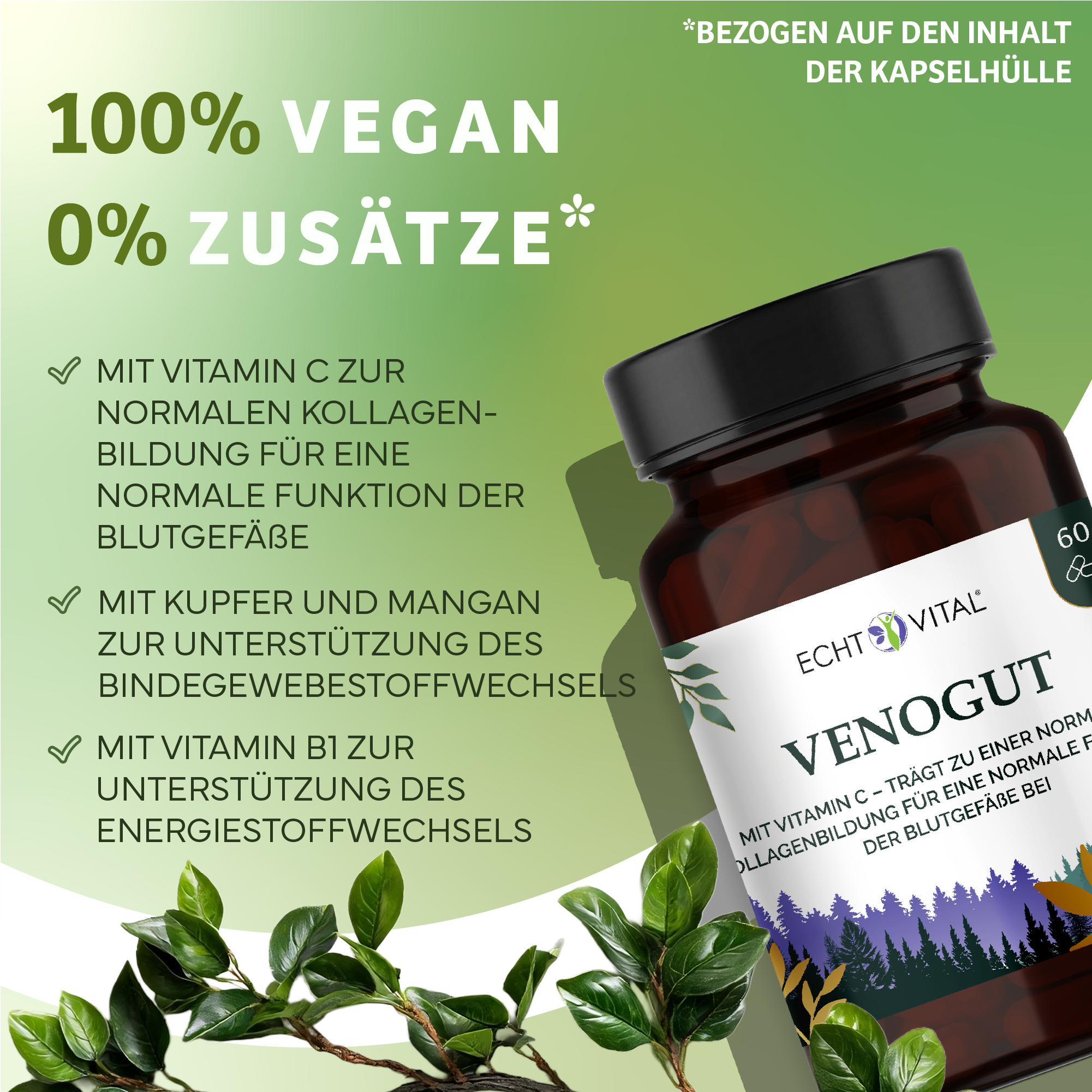 Kräuter, Pflanze, Werbung, Sirup, Kräuterig, Kräuter, Pflanze, Astragalus, Werbung, vegan, nahrungsergänzung, flasche, kapsel, natürlich, Vegan, Ergänzungsmittel, Vitamin C, Pflanzenextrakt, Flasche, Kapselhülle, Nahrungsergänzung, Vegan, Vitamine C, Kaps