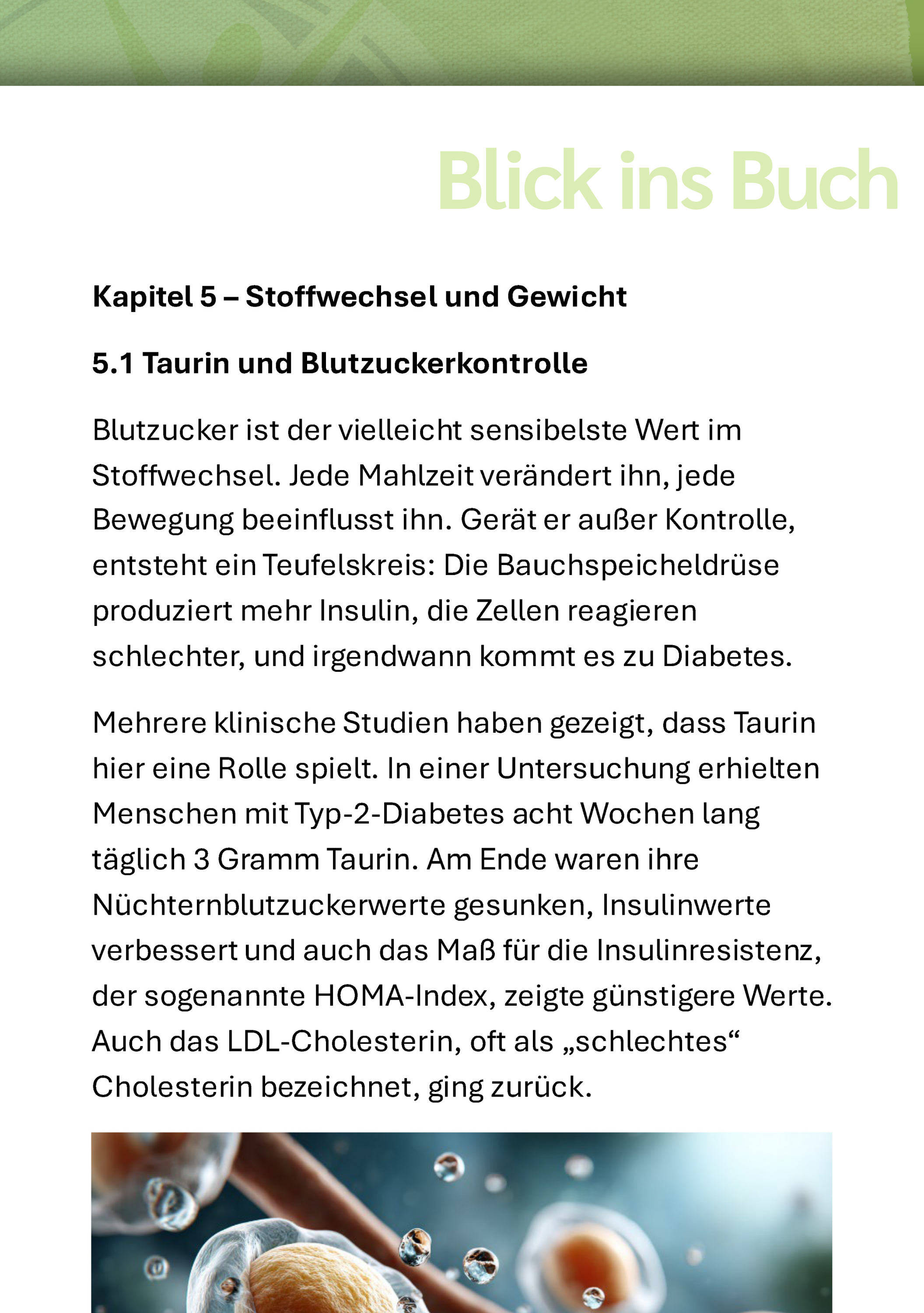 Werbung, Plakat, Seite, Text
