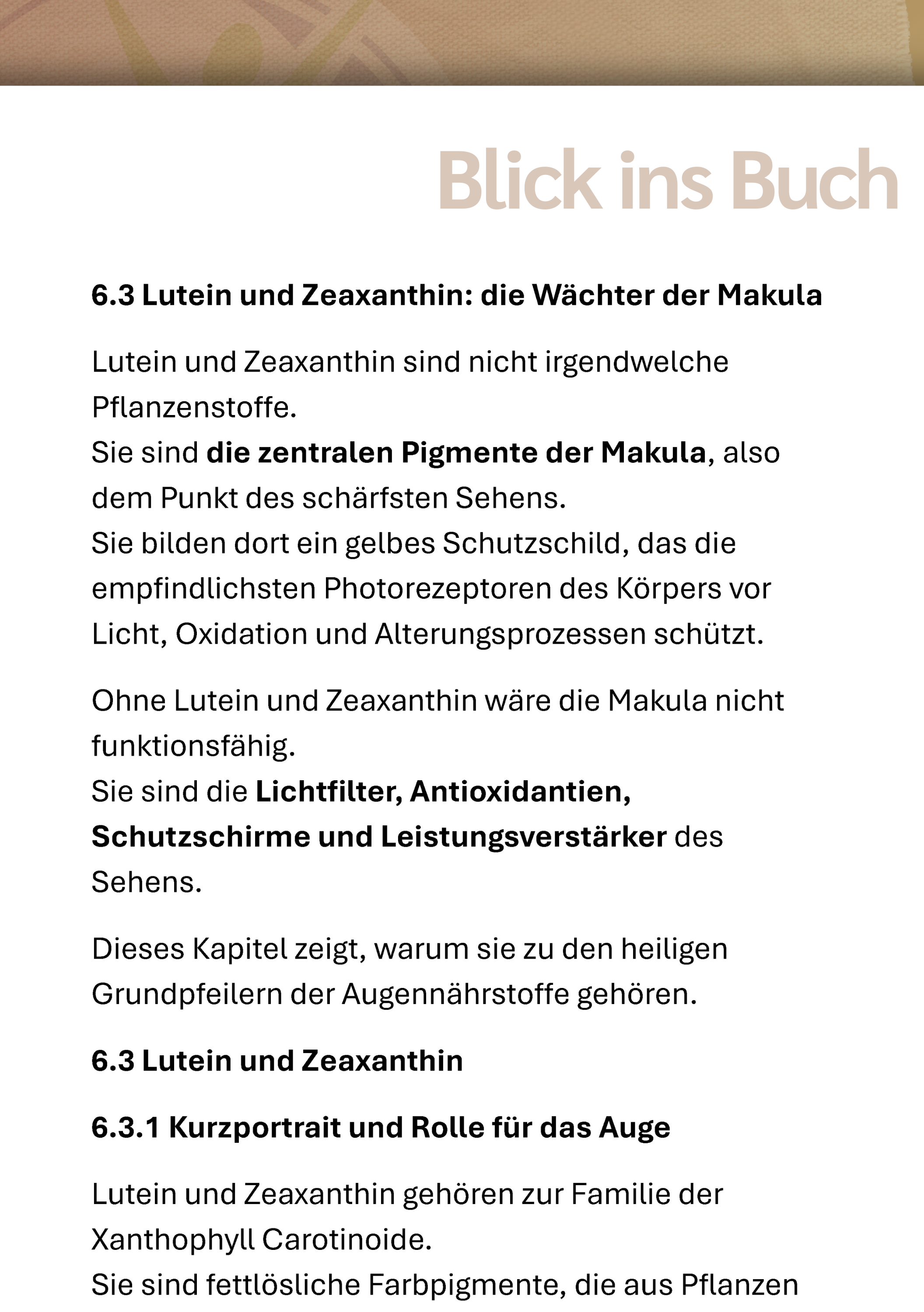 Seite, Text, Werbung, Plakat