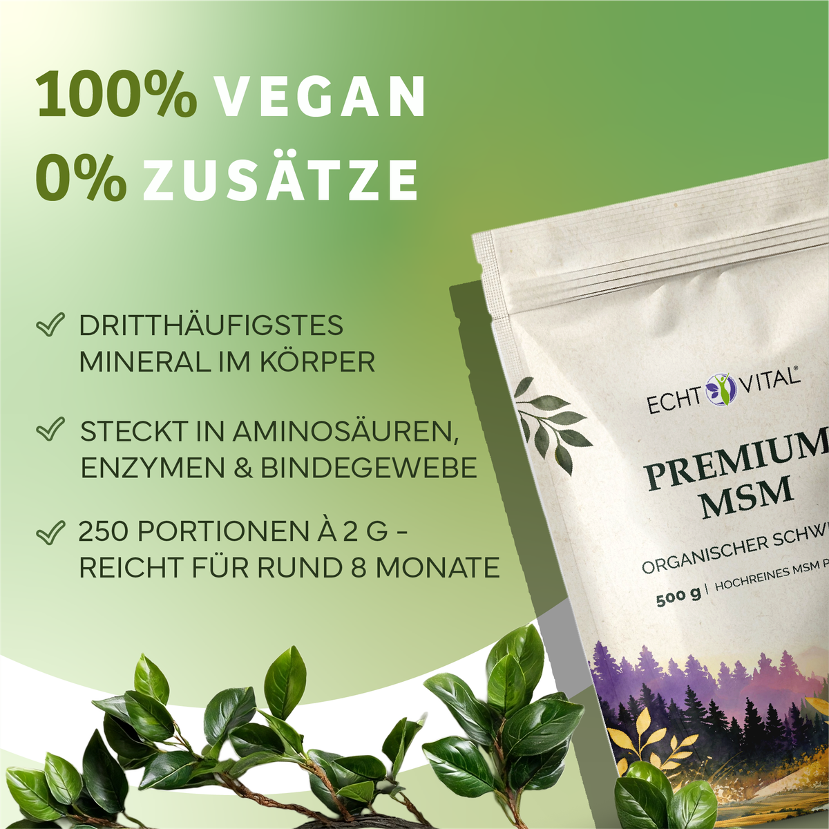 Werbung, Plakat, Kräuter, Pflanze, Werbung, Plakat, Kräuter, Pflanze, vegan, mineral, verpackung, MSM, kraut, vegan, Verpackung, Hergestellt aus Kräutern?, MSM, premium