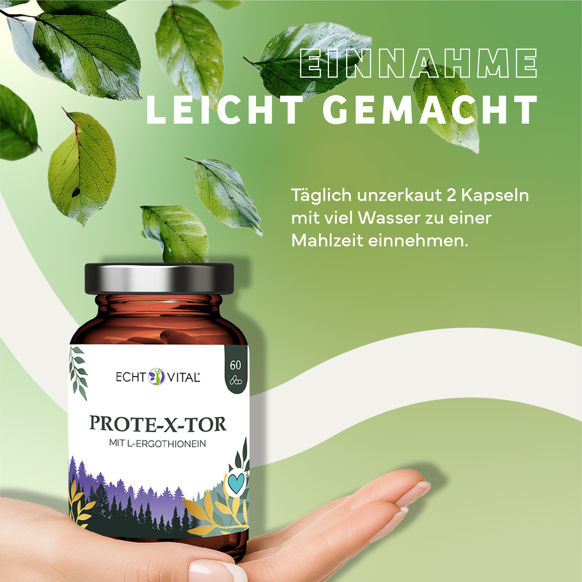 Kräuter, Werbung, Plakat, Blatt