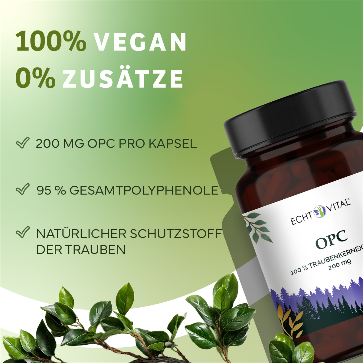 Kräuterig, Kräuter, Pflanze, Astragalus, Werbung, vitamin, kapseln, opc, traubenkernextrakt, pflanzenextrakt