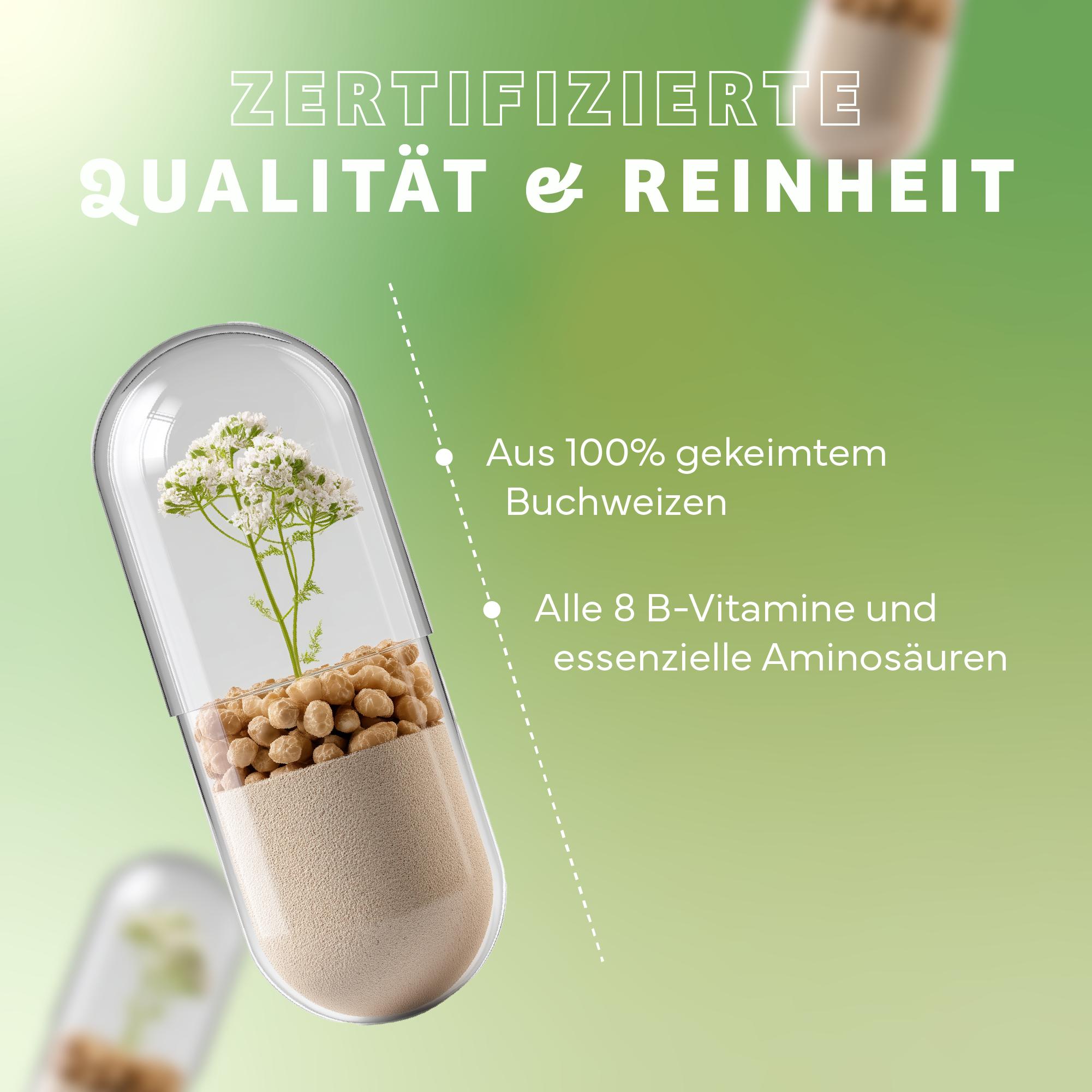 Kräuterig, Kräuter, Pflanze, Werbung, Kräuterig, Kräuter, Pflanze, Werbung