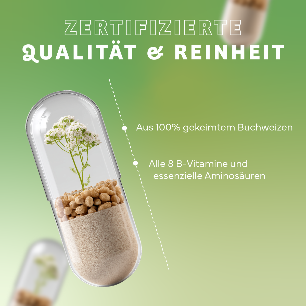 Kräuterig, Kräuter, Pflanze, Werbung, Kräuterig, Kräuter, Pflanze, Werbung, Kräuterig, Kräuter, Pflanze, Werbung, Kapsel, Kapsel mit Pflanze, Beige Pulver, Pillenbehälter, Kräuterergänzung