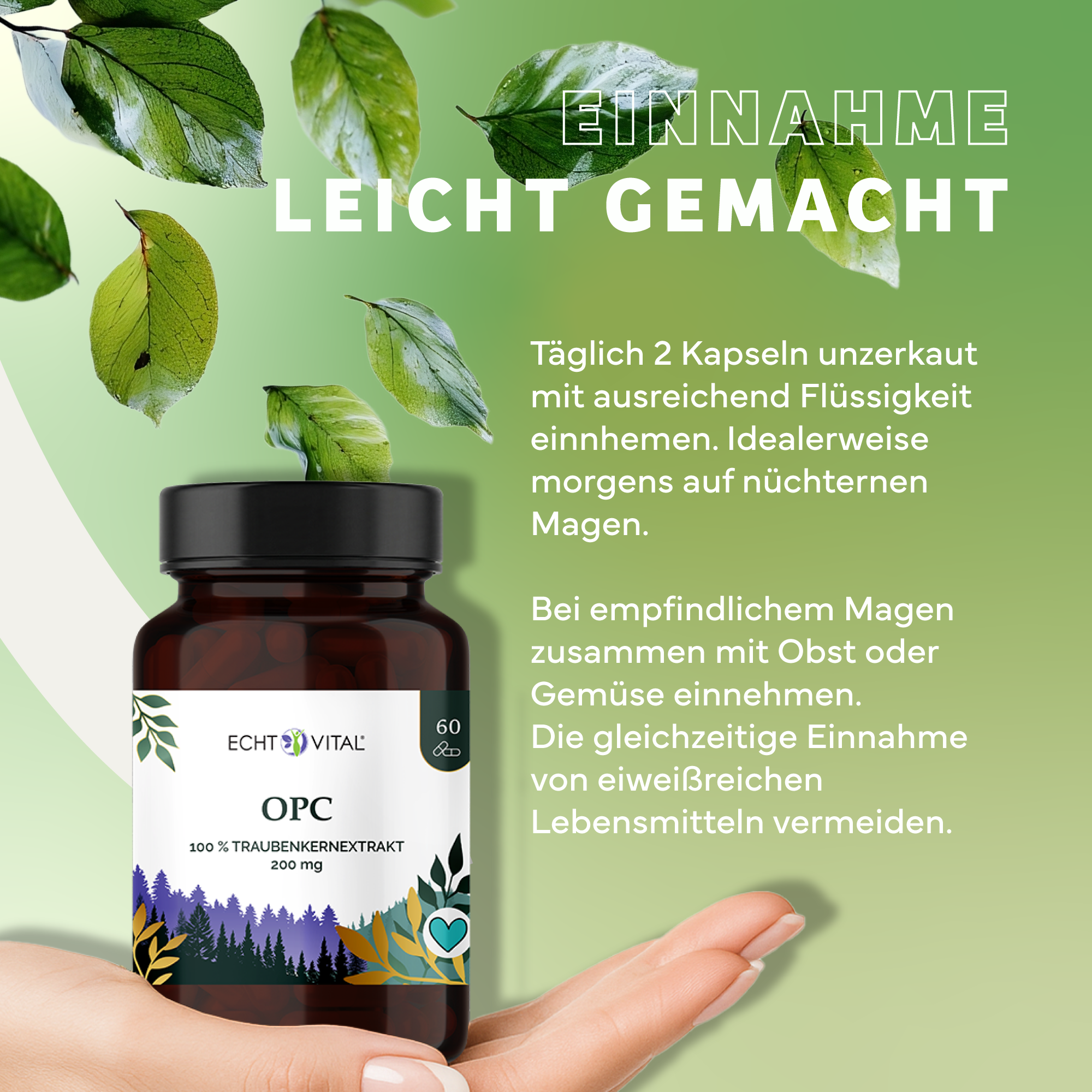 Kräuterig, Kräuter, Werbung, Blatt, Astragalus, Kapseln, Kräuterextrakt, OPC, Traubenkernextrakt, Vitamine
