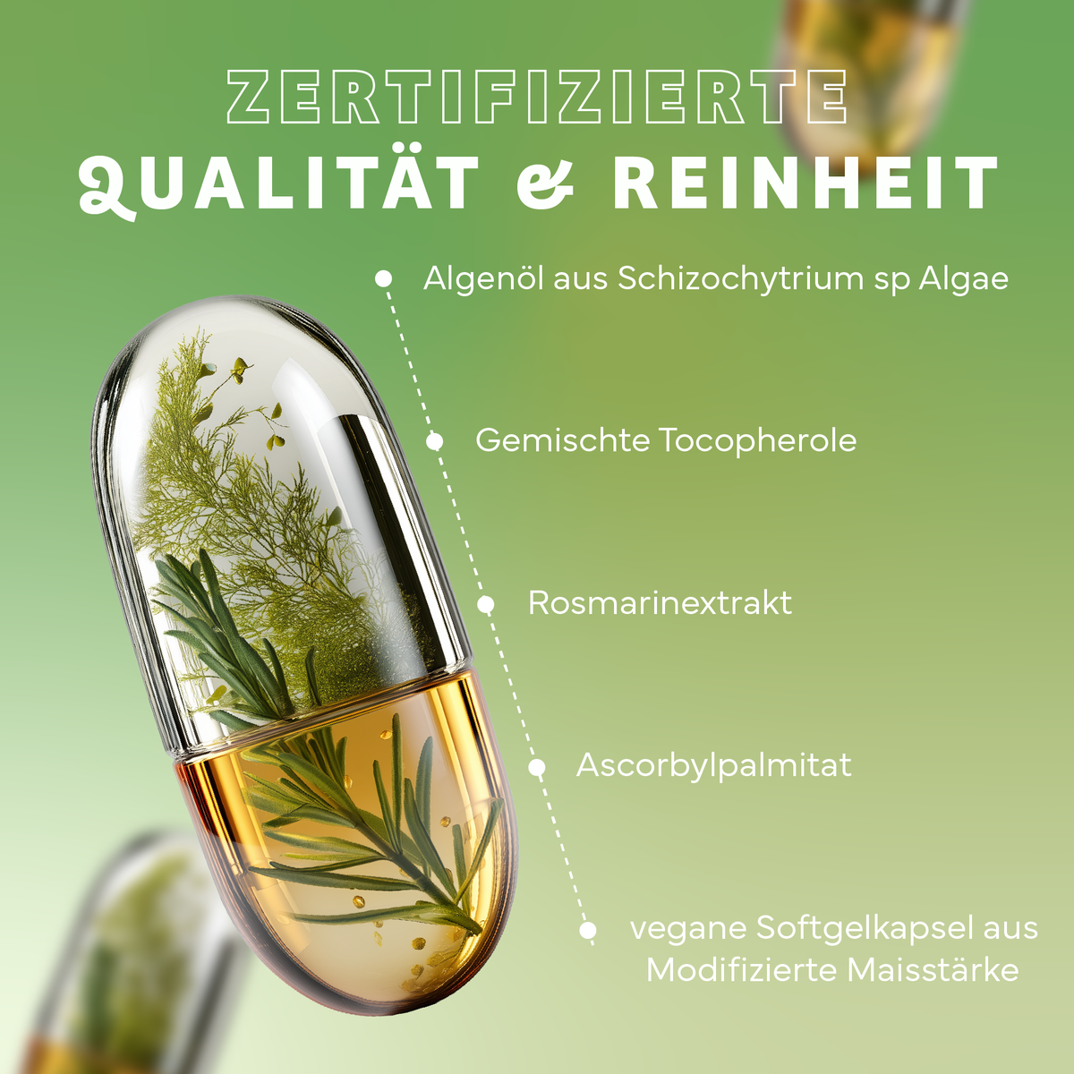 Kräuterig, Kräuter, Pflanze, Kosmetik, Parfüm, Kräuterig, Kräuter, Pflanze, Werbung, Parfüm, vitamin Kapsel, Kräuter Kapsel, Rosmarin, Algenöl, Weichkapsel