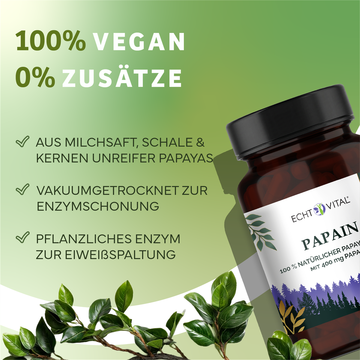 Kräuterig, Kräuter, Pflanze, Werbung, Astragalus, Pflanzenöl, Enzym, Kapsel, Papayas, Vegan