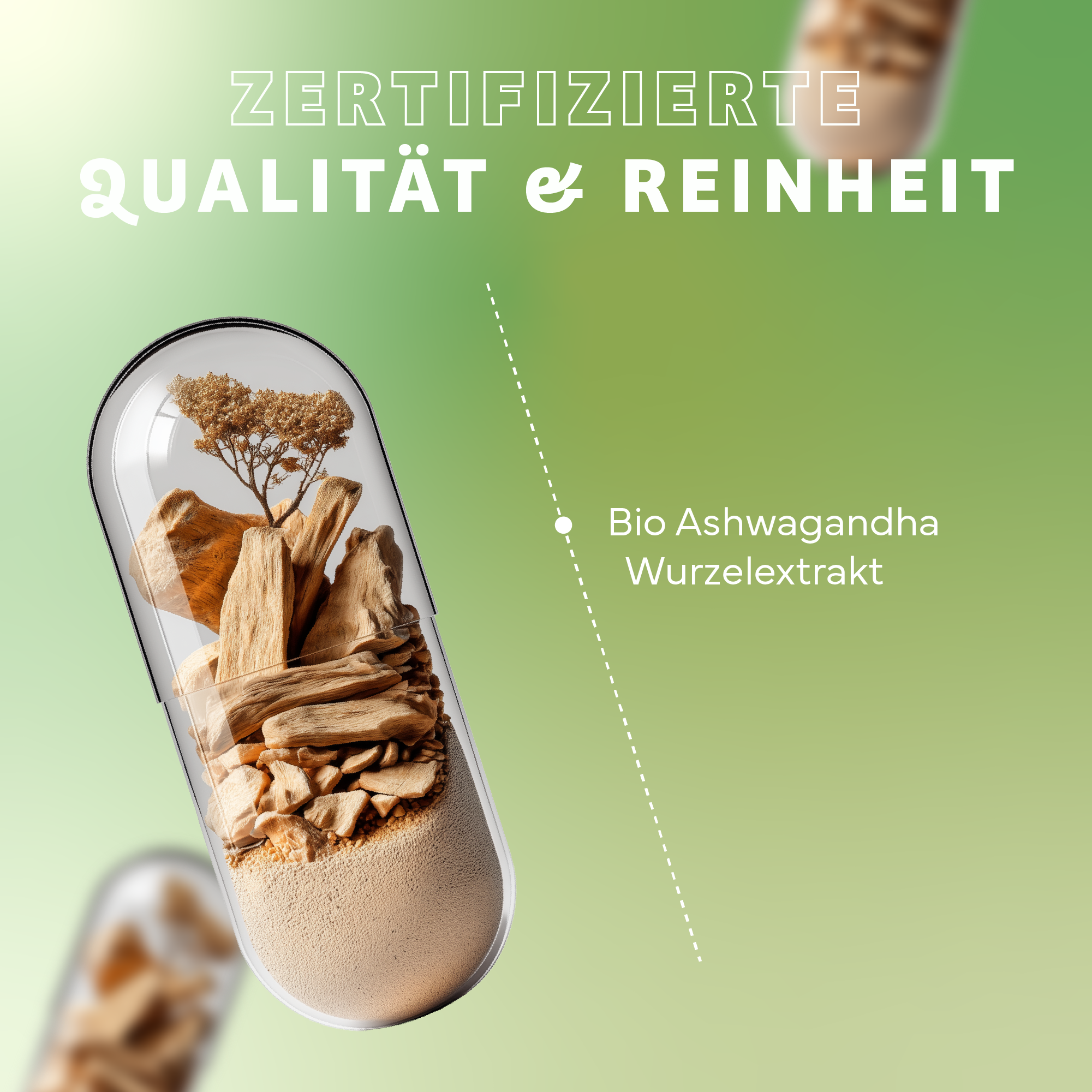 Kräuter, Pflanze, Werbung, Eiscreme, Plakat