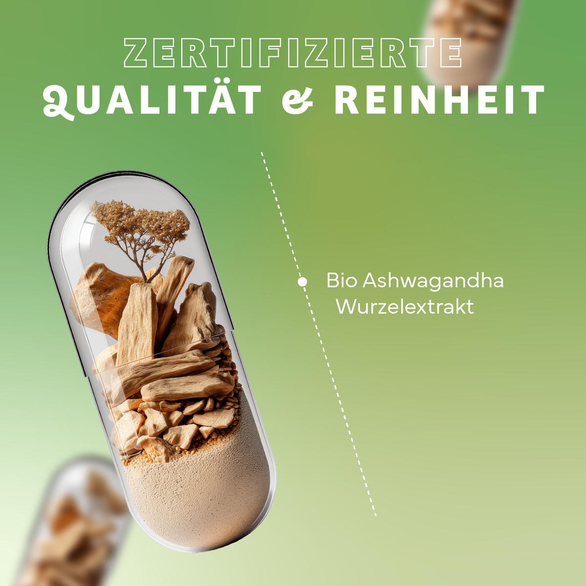 Kräuter, Pflanze, Werbung, Eiscreme, Plakat, Kräuterig, Pflanze, Werbung, Eiscreme, Plakat, ashwagandha, wurzelextrakt, bio, kräuter, kapsel