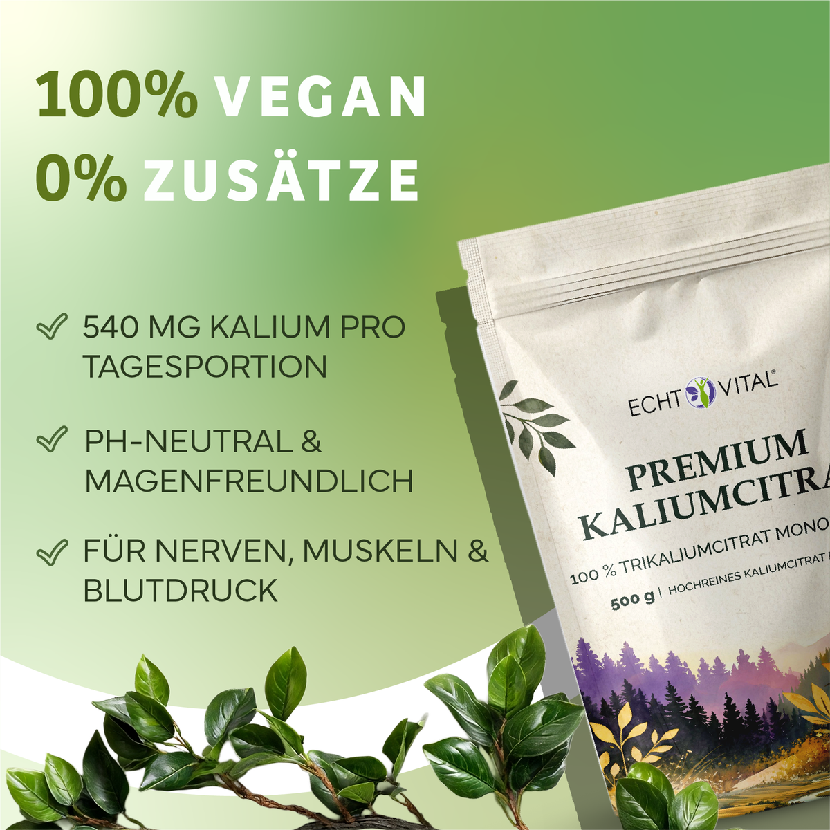 Werbung, Plakat, Kräuter, Pflanze, Kalium, Kaliummitrat, Nahrungsergänzung, Vitamine, Paket, Kaliumtabletten, vegan, ph-neutral, magenfreundlich, natürliche ergänzung
