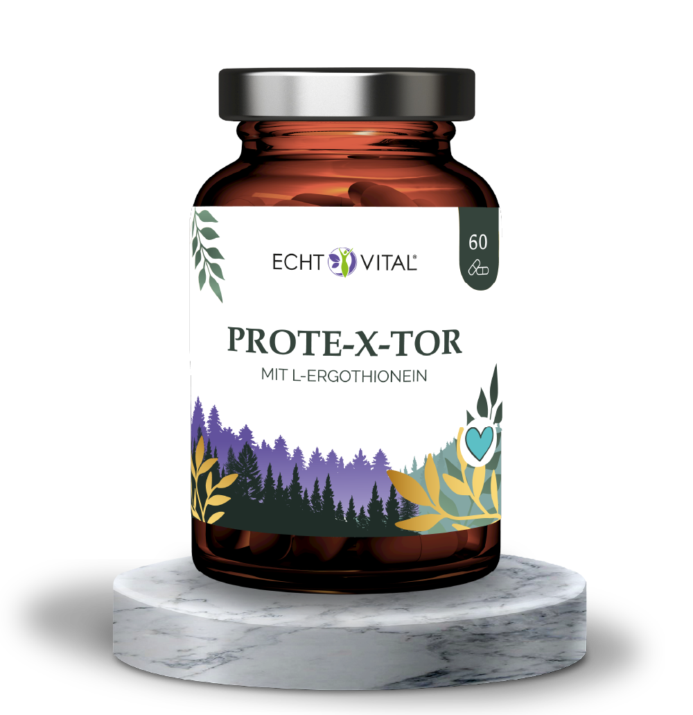 Kräuter, Pflanze, Astragalus, Blume